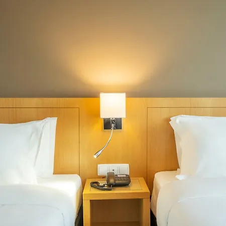 波尔图-图尔乐酒店 酒店 3*